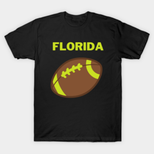 florida gators baseball Classic Women and Mens T Shirt min