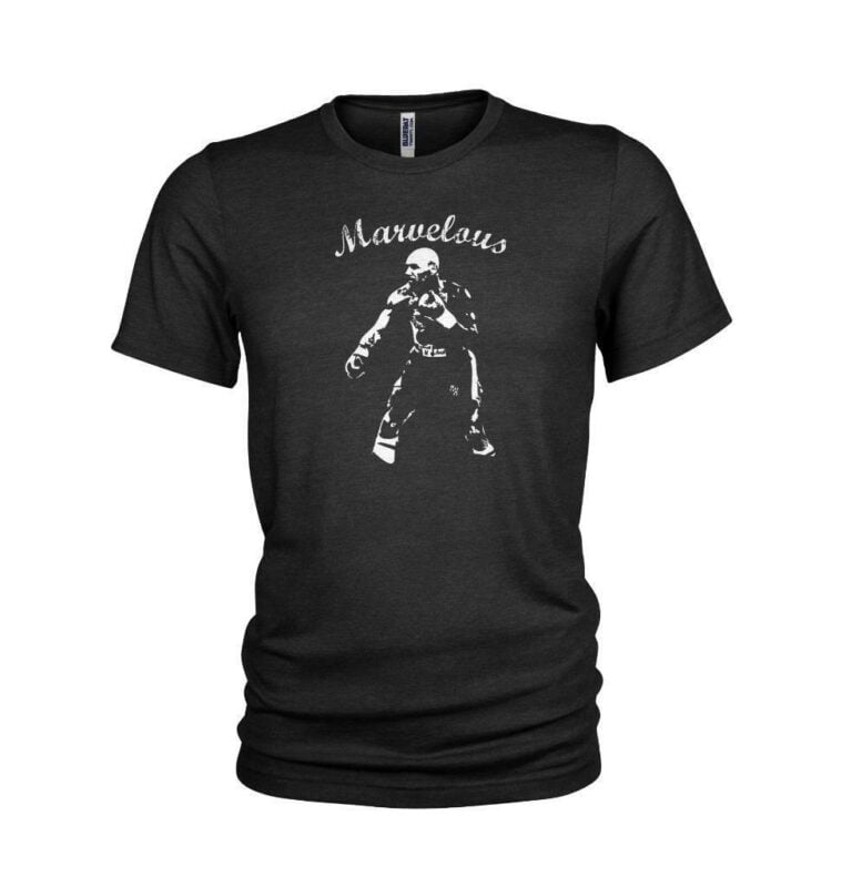 Music T-Shirts | Movie T-Shirts | Sport Merch – TeeFoxStore.com