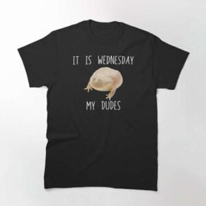 It Is Wednesday My Dudes T Shirt 2