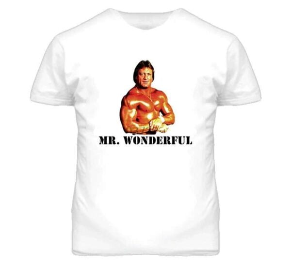 Paul Orndorff Mr Wonderful Wrestling