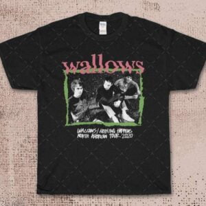 Wallows Vintage T Shirt