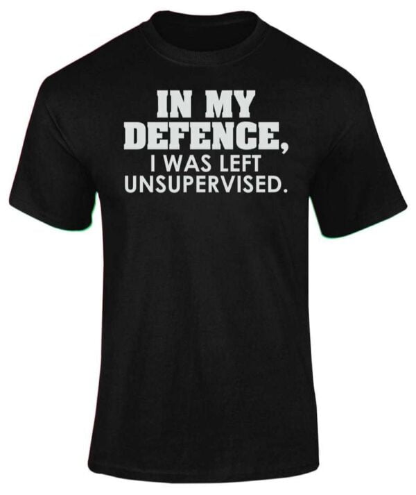 In My Defence I Was Left Unsupervised T Shirt