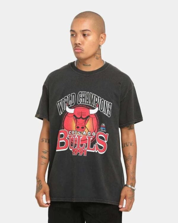 Vintage Chicago Bulls World Champs Ball NBA Basketball T Shirt