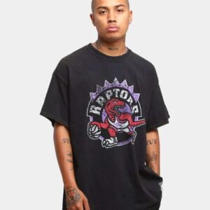 Vintage Toronto Raptors NBA Basketball T Shirt