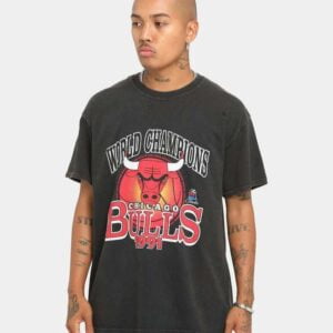Vintage Chicago Bulls World Champs Ball Unisex T Shirt