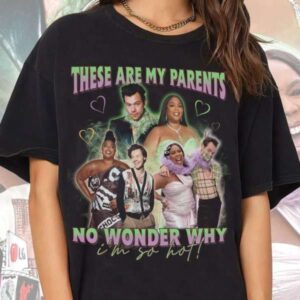 Harry Styles Shirt Singer Music Tee