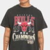 Chicago Bulls 1996 Champions NBA Basketball T Shirt Merch