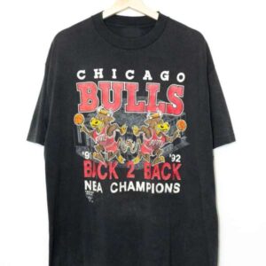 Chicago Bulls Vintage Back To Back NBA Basketball T Shirt Merch