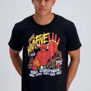 Chicago Bulls World Champions NBA Basketball T Shirt Merch