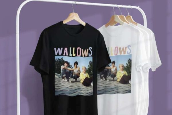 Wallows Dylan Minnette Braeden Lemasters T Shirt
