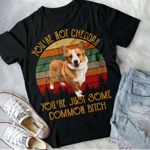 YouRe Not Cheddar YouRe Just Some Common Btch T Shirt Brooklyn Nine Nine Corgi
