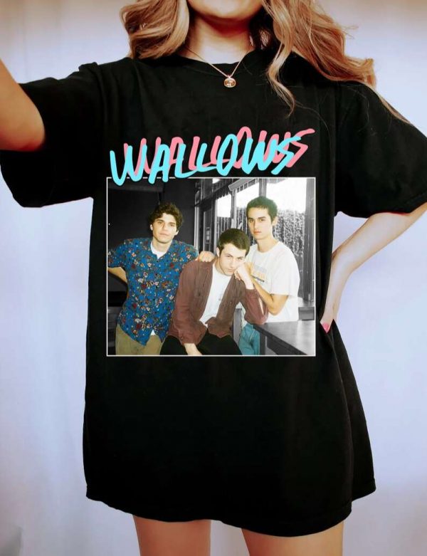 Wallows Boy Band Unisex T Shirt For Men And Women