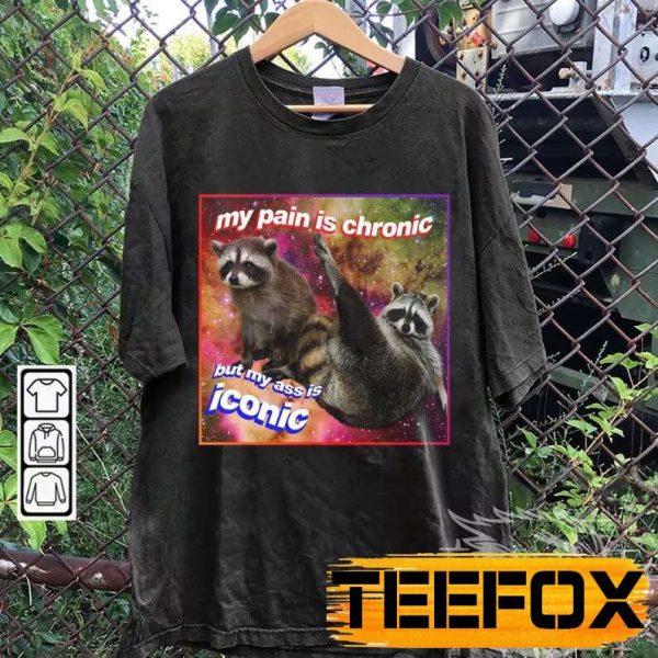 My Pain Is Chronic But My Ass Is Iconic Meme Raccoon Tanuki Short Sleeve T Shirt