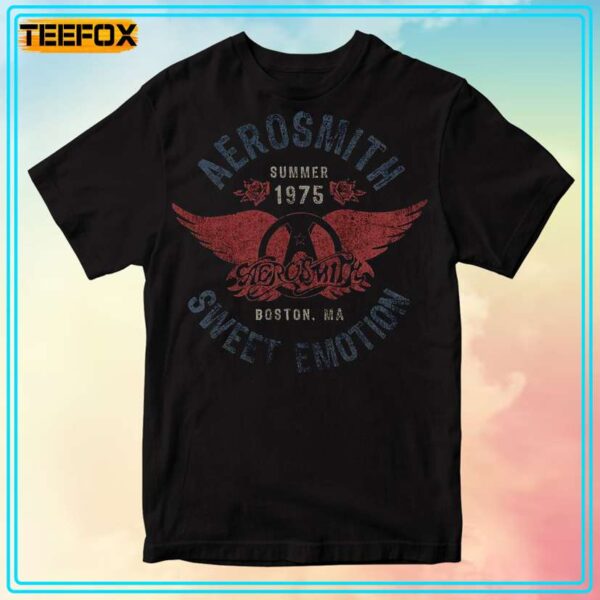Aerosmith Sweet Emotion Steven Tyler Joe Perry 1975 T Shirt