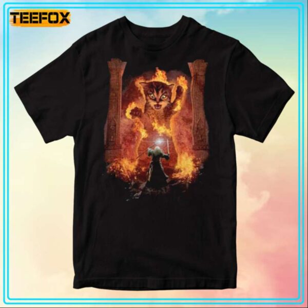 Cats Kittens Kitty You Shall Not Pass Fire Flames Gandalf Catdalf Frodo Lord Of The Rings Wizard Tee